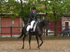PO 2008 (1)
